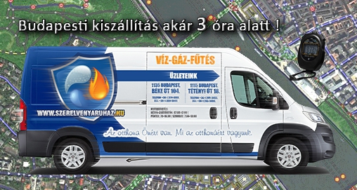 Kiszállítás