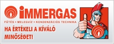 Immergas