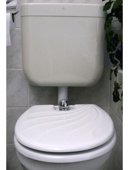 Toilette Nett bidé, WC-ülőkével és kagyló mintás tetővel